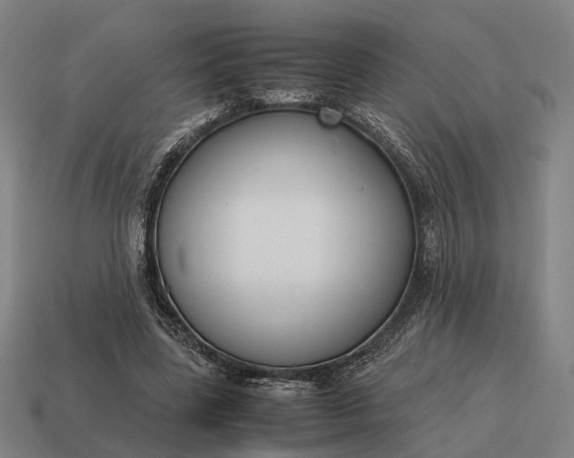 X0000115120539200911101628