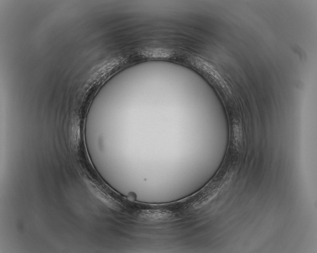 X0000115120541200911101628