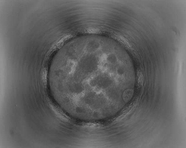 X0000115120542200911101628