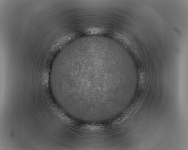 X0000115120545200911101628
