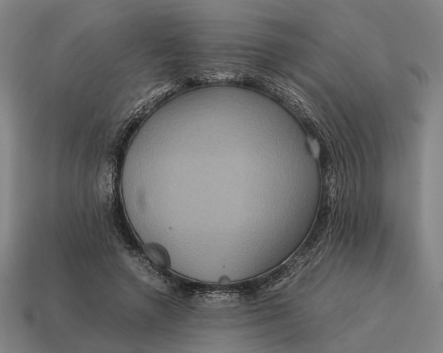 X0000115120546200911101628