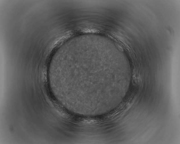 X0000115120547200911101628
