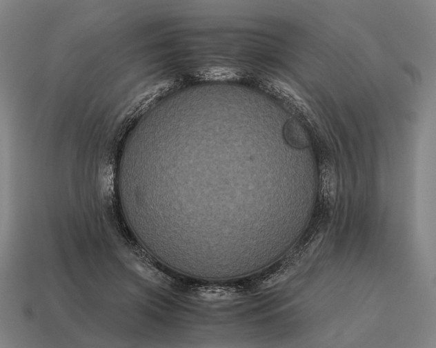 X0000115120549200911101628