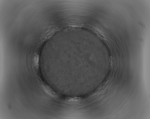 X0000115120550200911101628