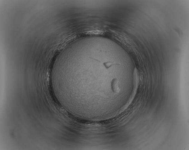 X0000115120551200911101628