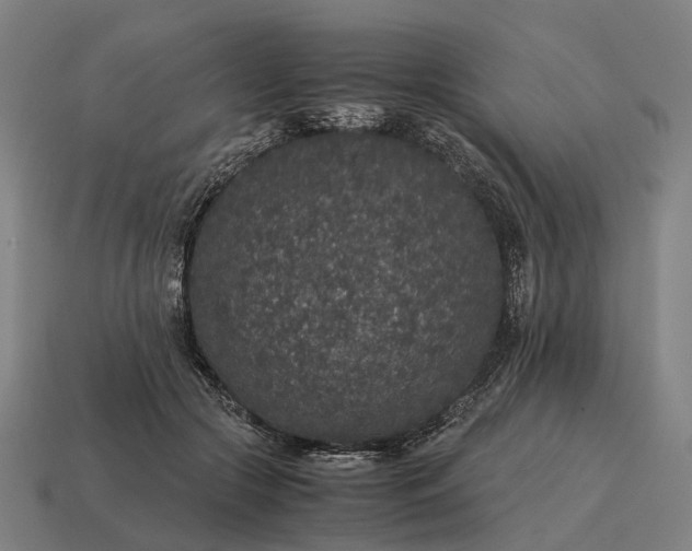 X0000115120553200911101628