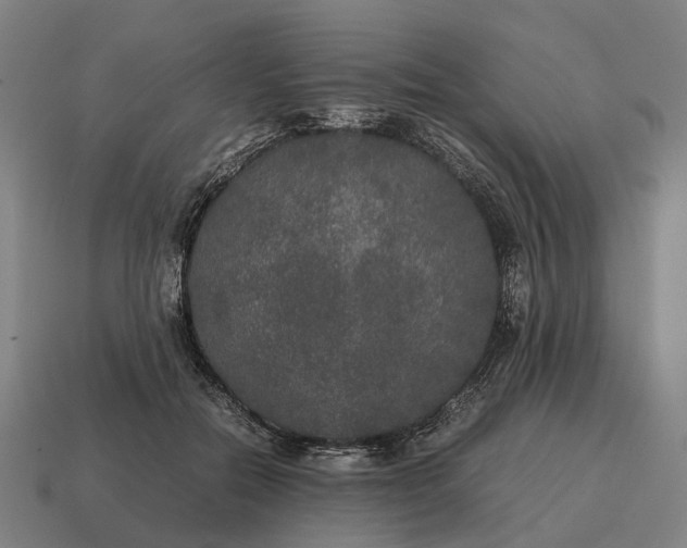 X0000115120554200911101628