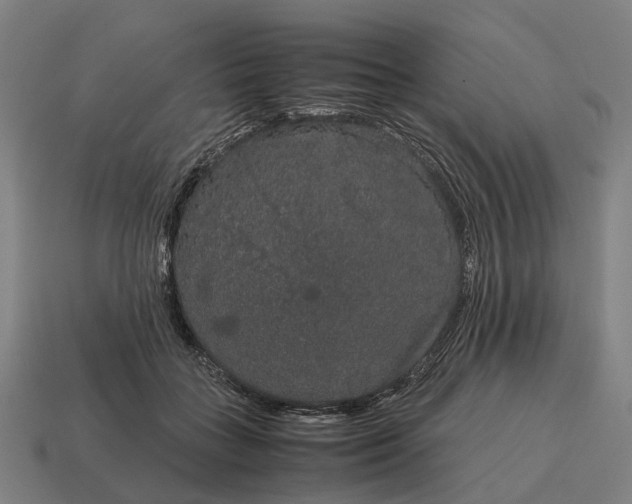 X0000115120555200911101628