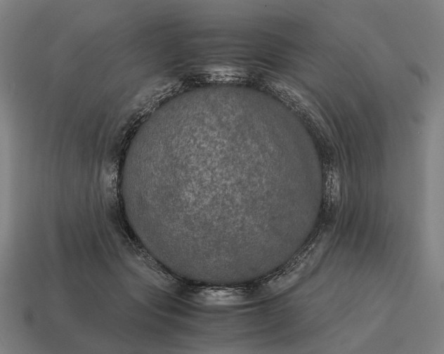 X0000115120557200911101628
