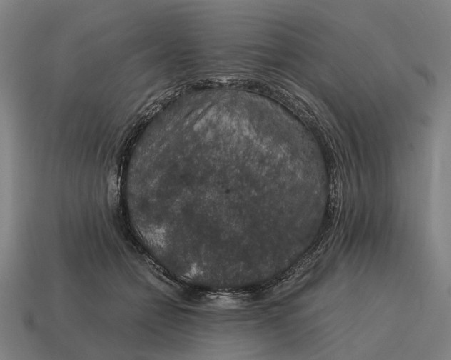 X0000115120558200911101628