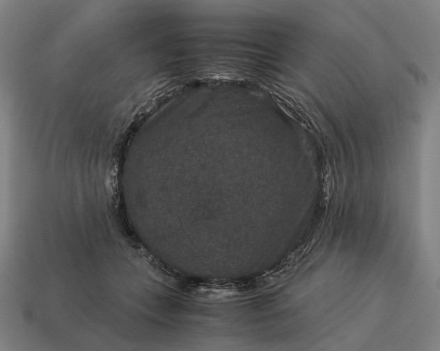 X0000115120559200911101628