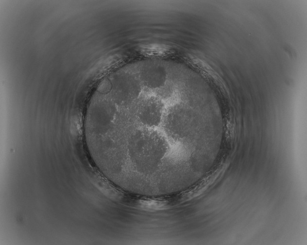 X0000115120561200911101629