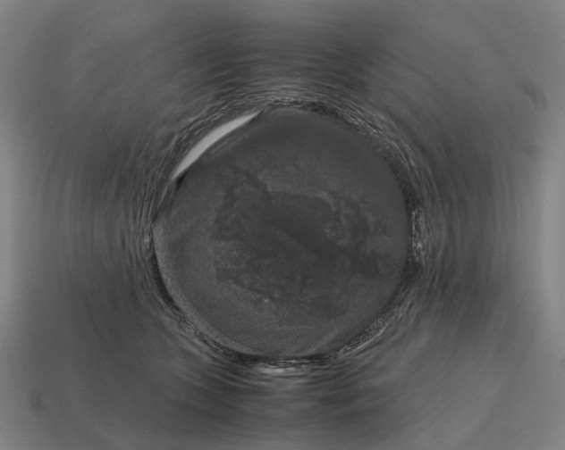 X0000115120563200911101629