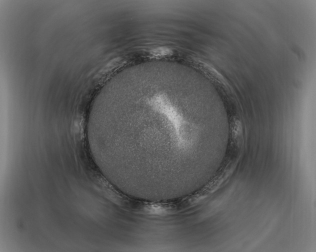 X0000115120565200911101629