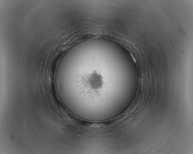 X0000115120566200911101629
