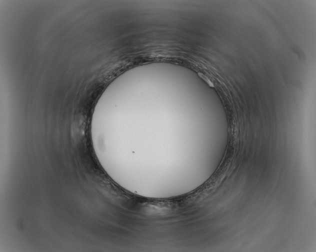 X0000115120567200911101629