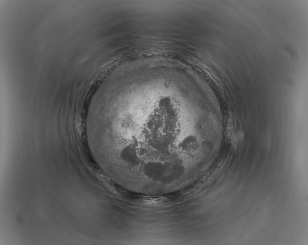X0000115120569200911101629