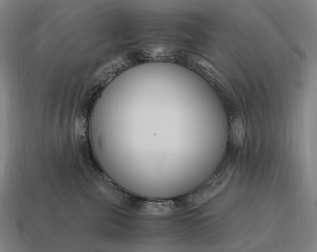 X0000115120571200911101629