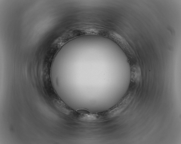 X0000115120573200911101629