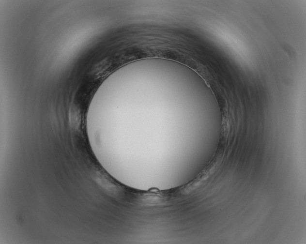 X0000115120574200911101629