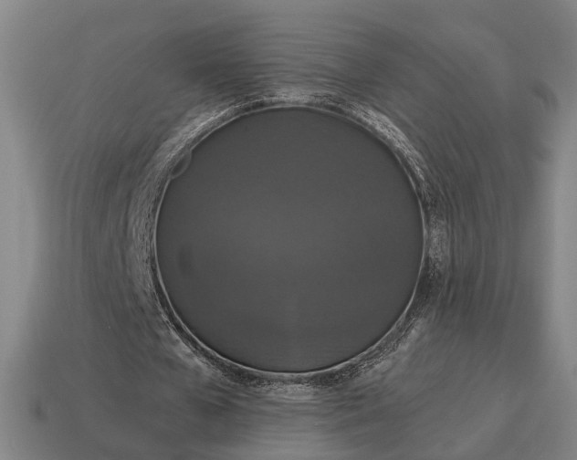 X0000115120577200911101628