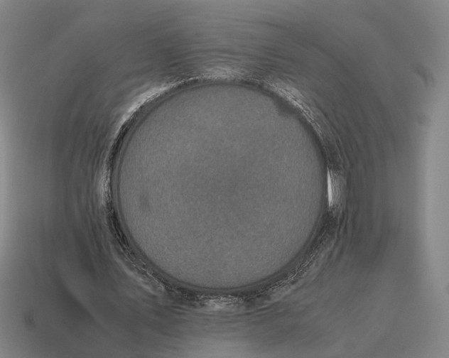X0000115120579200911101628