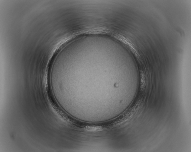 X0000115120582200911101628