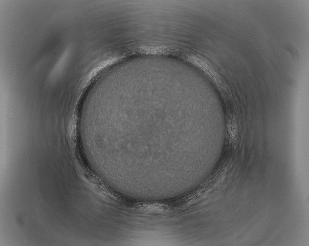 X0000115120583200911101628