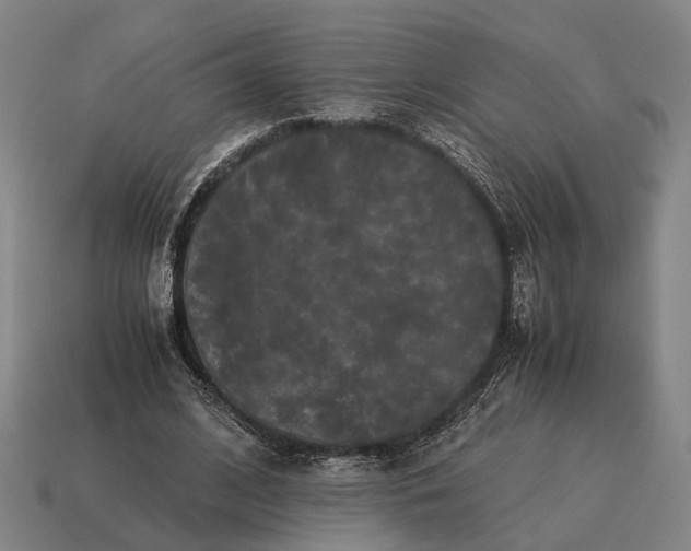 X0000115120584200911101628