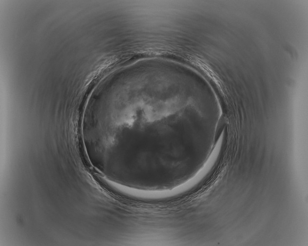 X0000115120585200911101628