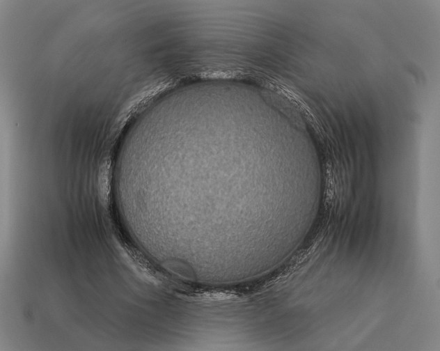 X0000115120586200911101628