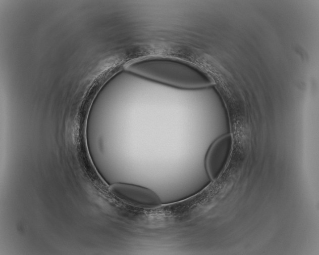 X0000115120587200911101628