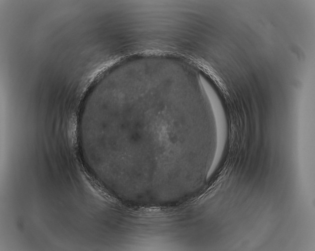 X0000115120588200911101628