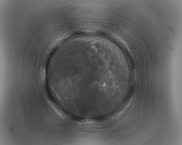 X0000115120589200911101628