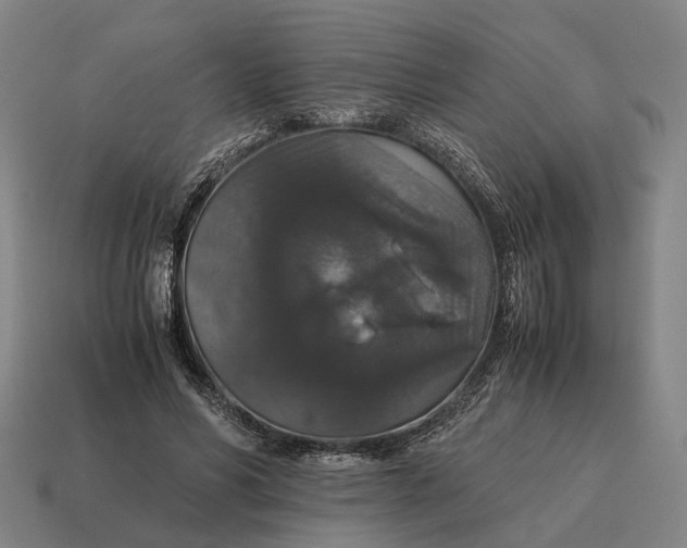X0000115120590200911101628
