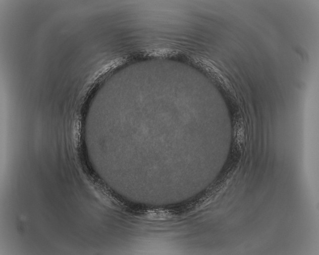 X0000115120591200911101628
