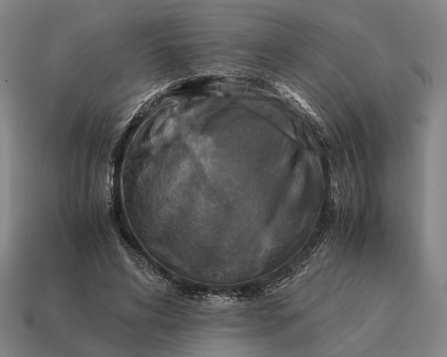 X0000115120592200911101628