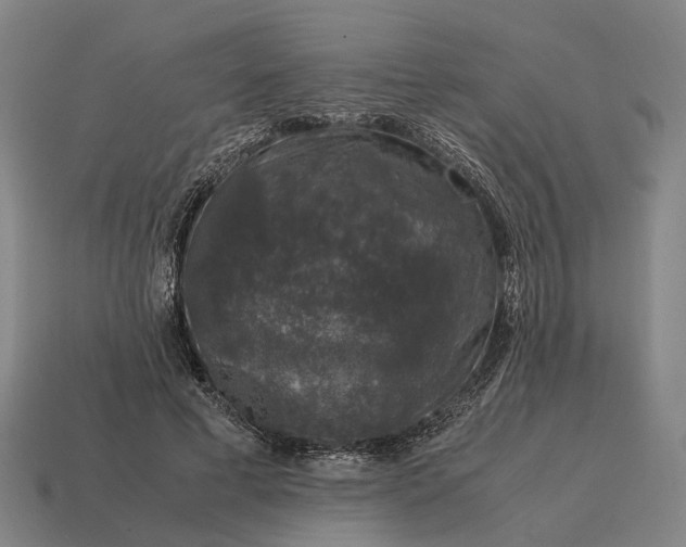 X0000115120593200911101628