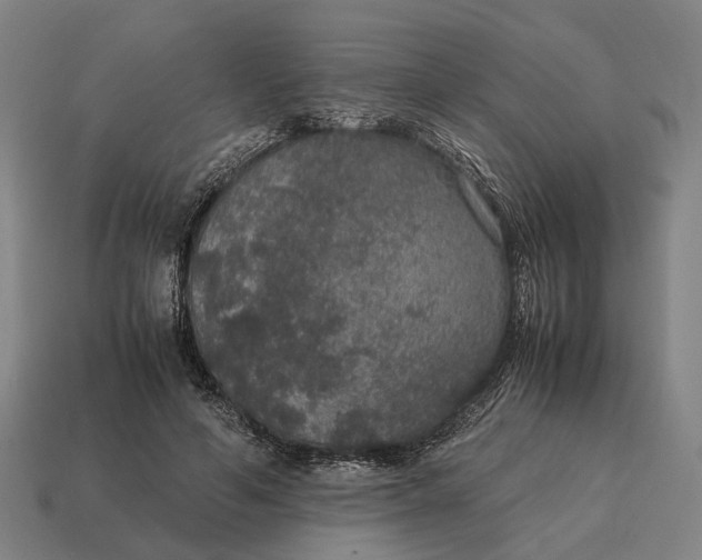 X0000115120594200911101628
