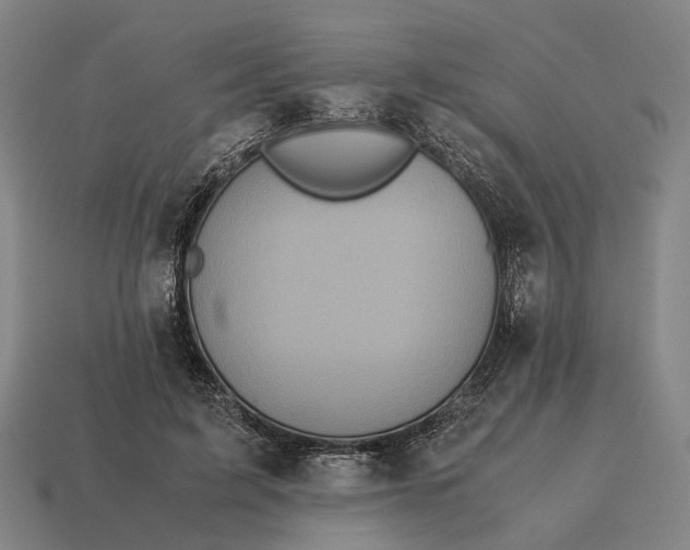 X0000115120595200911101628