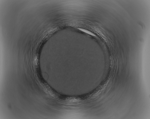 X0000115120597200911101628