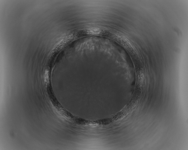 X0000115120598200911101628