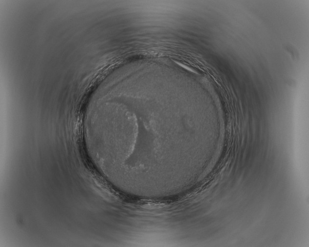 X0000115120601200911101628