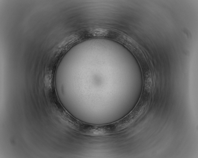 X0000115120604200911101628