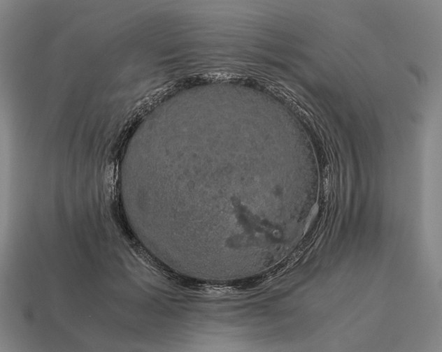 X0000115120605200911101628