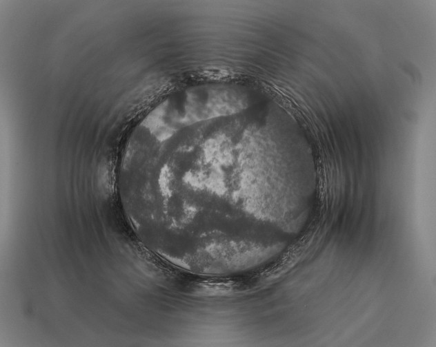 X0000115120606200911101628