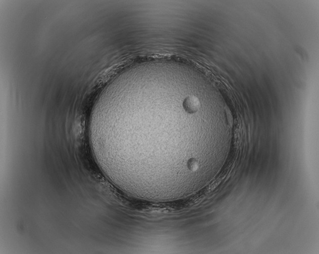 X0000115120608200911101628