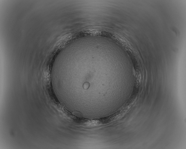 X0000115120609200911101628