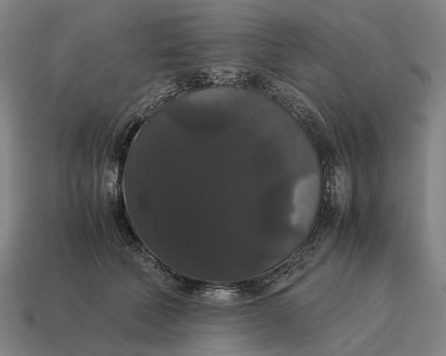 X0000115120610200911101628