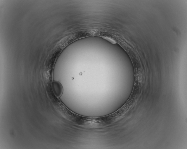 X0000115120611200911101628